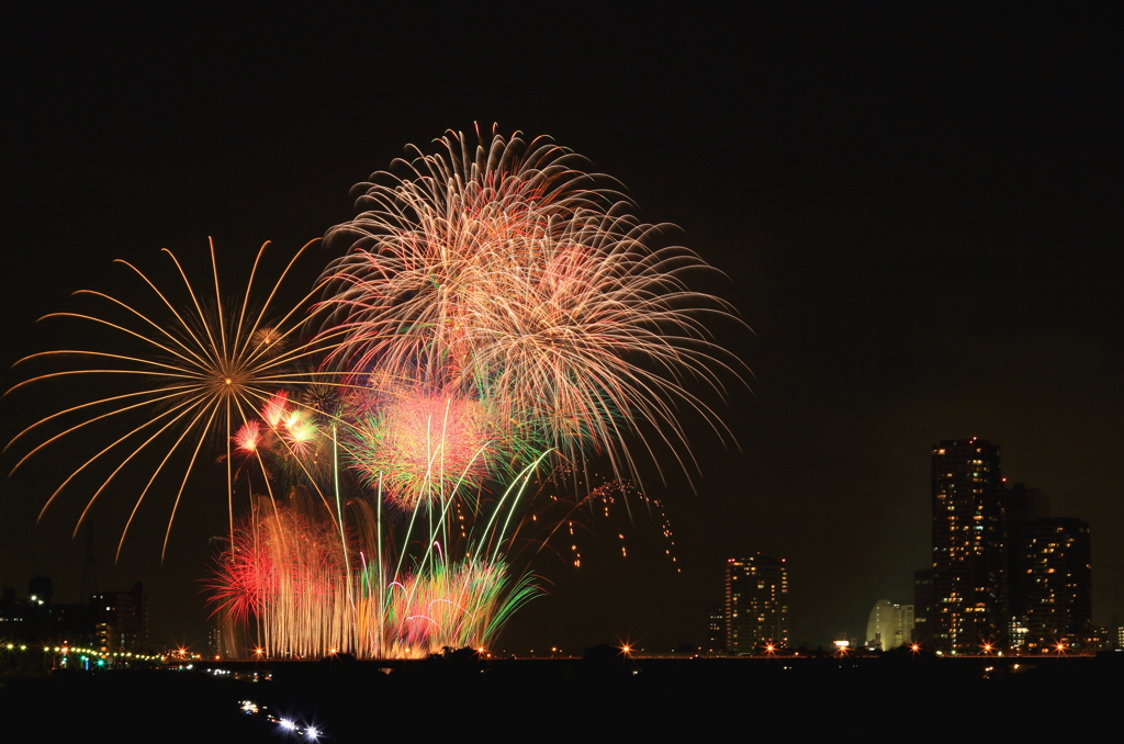 夜空に咲く華