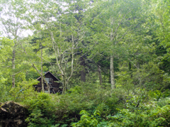 山小屋のある風景　～くまさんの森～