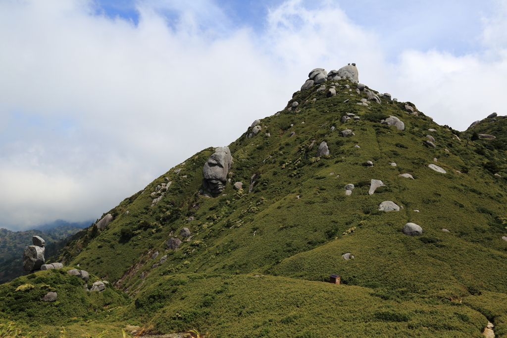 翁岳