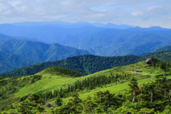 傾斜湿原