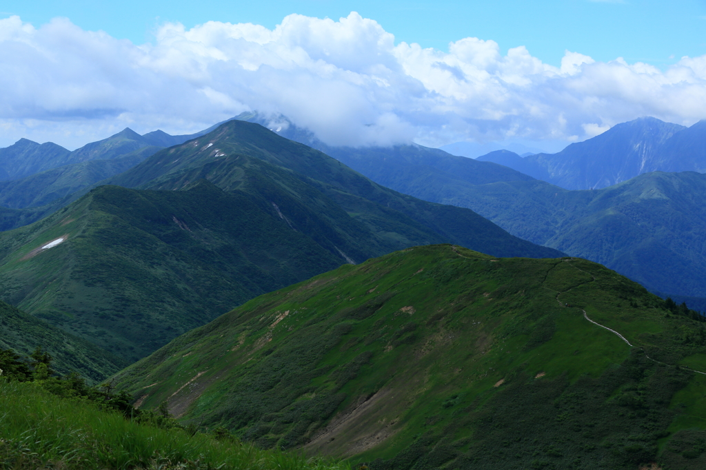 夏山