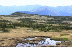 山頂湿原