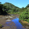 花之江河