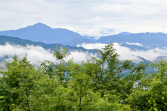 雨の高尾山