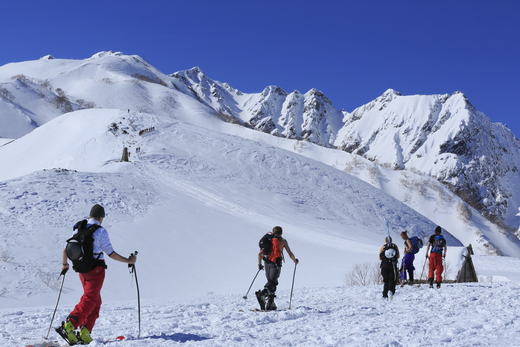 skiers