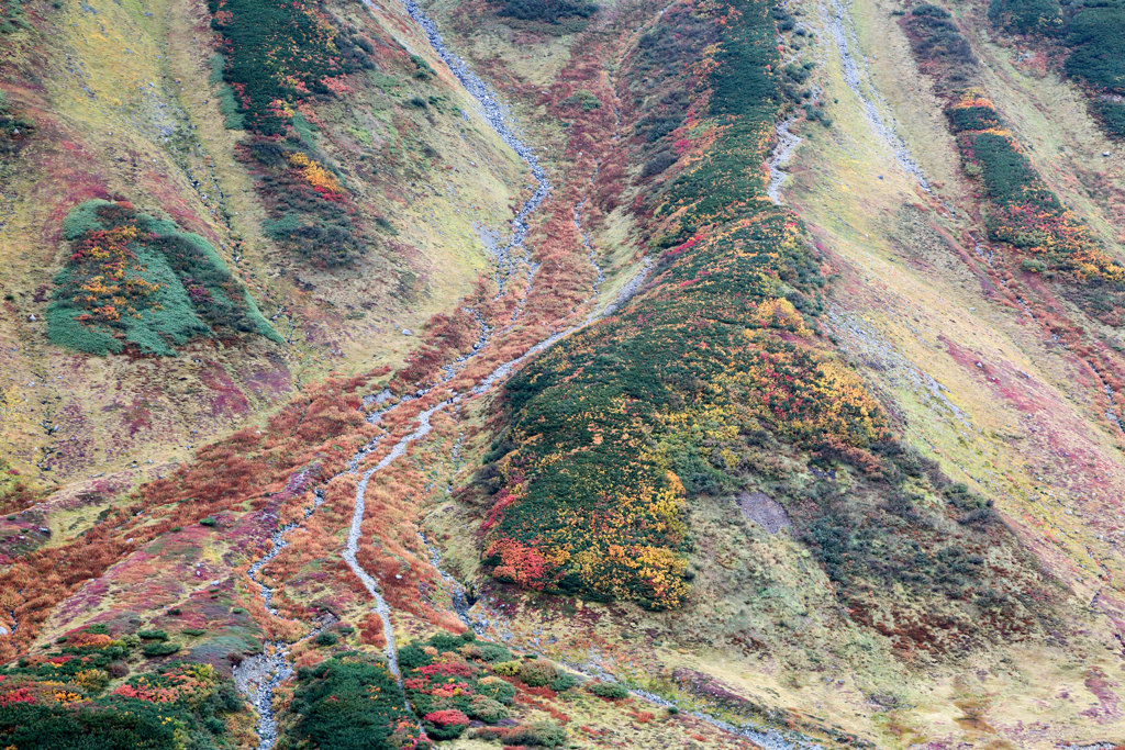 雷鳥沢の紅葉