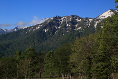 妙高山麓の春　～　山　～
