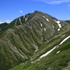 THE　夏山
