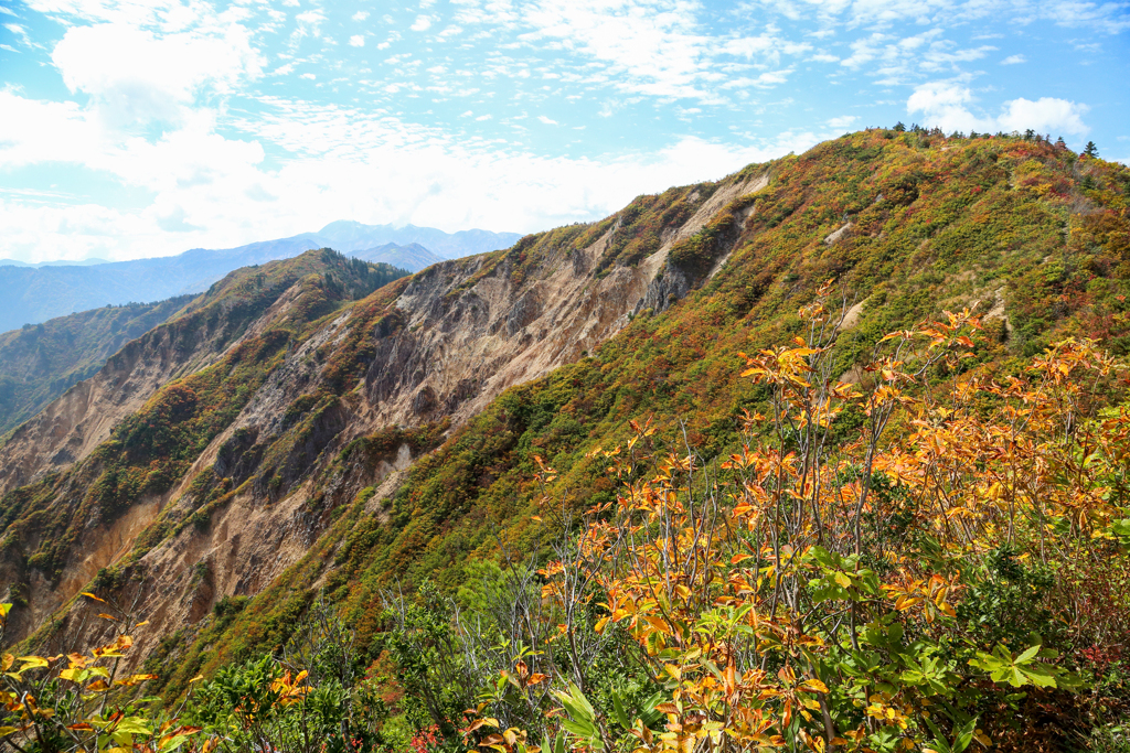 野谷荘司山