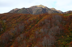 秋の彩　越後駒ヶ岳