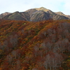 秋の彩　越後駒ヶ岳