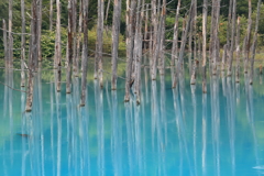 青い池