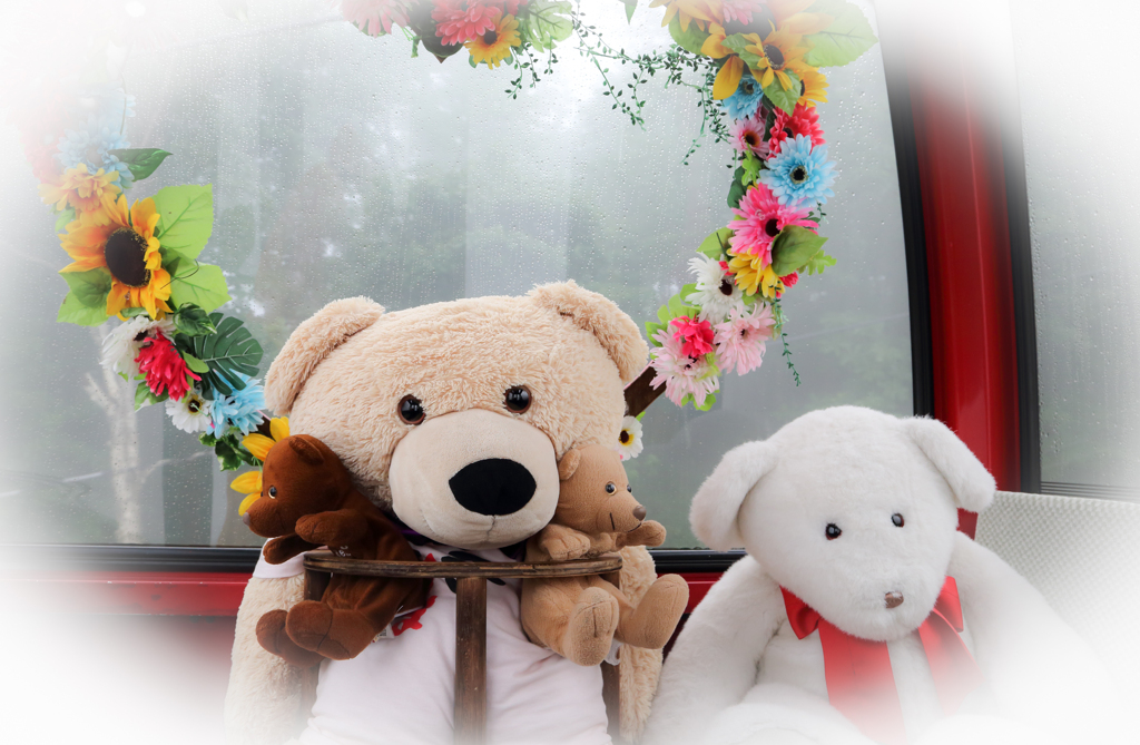 brown bears ?