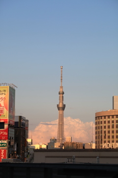 塔