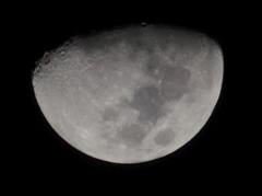DSC_0130