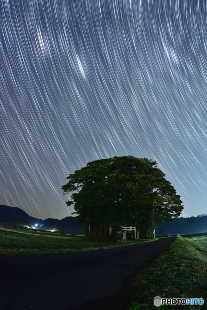 トトロの森の夜