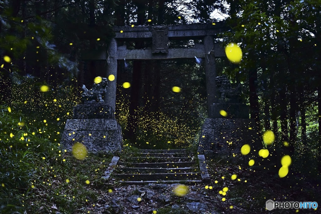 神聖