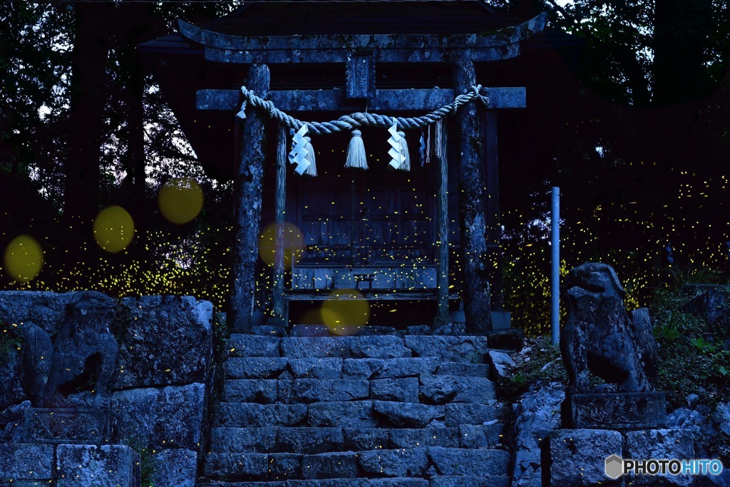儚きもの