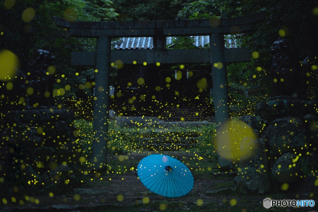 お宮参り