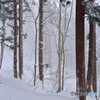 雪積もる世界
