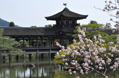 平安神宮