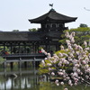 平安神宮