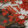 風景写真　名古屋　紅葉