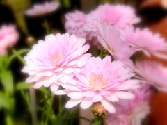 R0010606