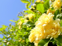 R0010614