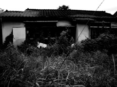 廃屋