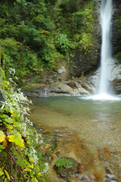 R0004188