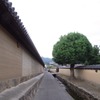 斑鳩の路。