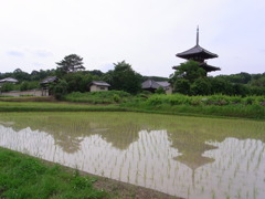 梅雨の晴れ間の法起寺。