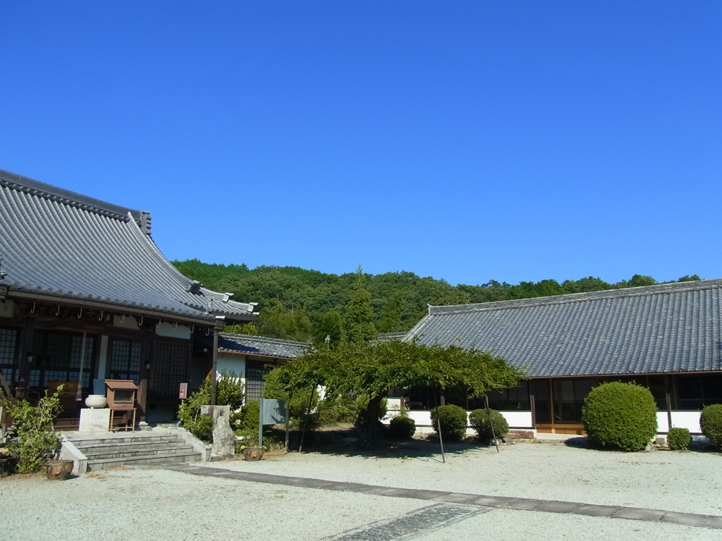 世尊寺の空。