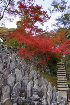 正曆寺④