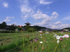 塔と秋の空