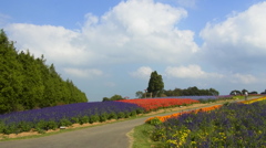 Herb　Garden。