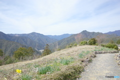 R0004565