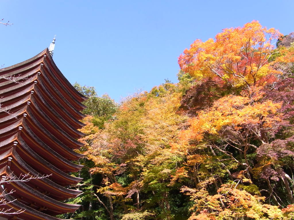 談山神社の秋。