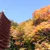 談山神社の秋。