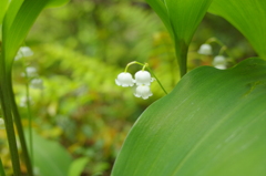 R0005075