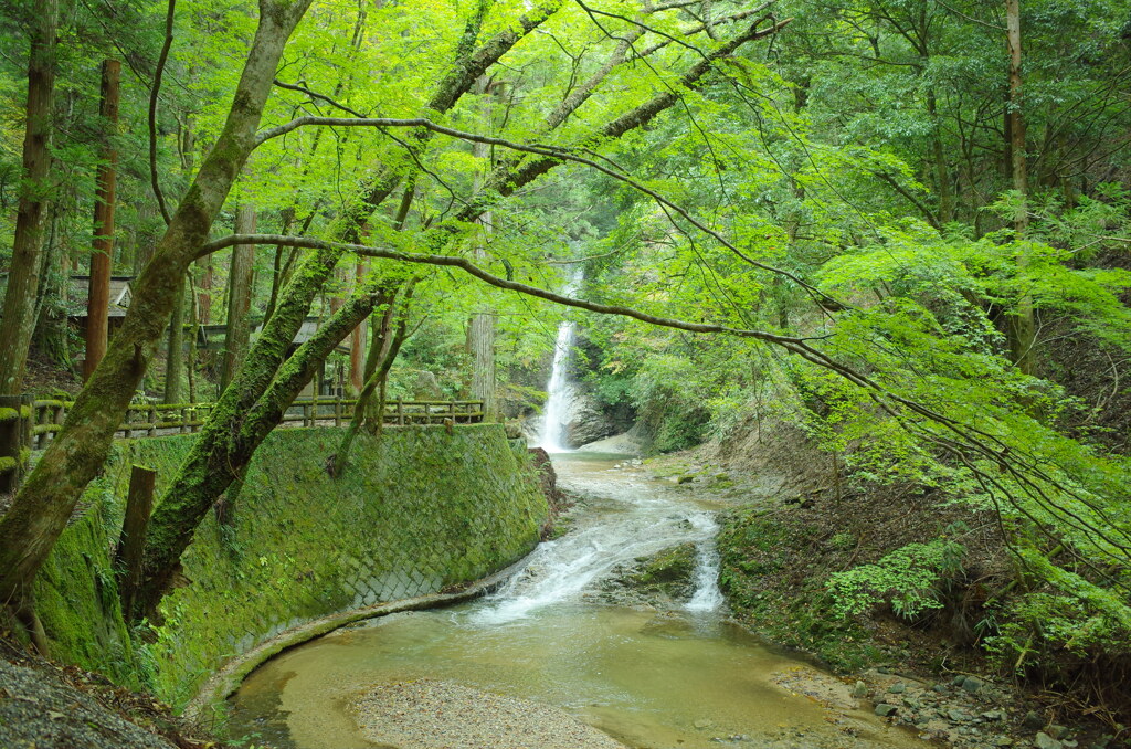 投石の滝