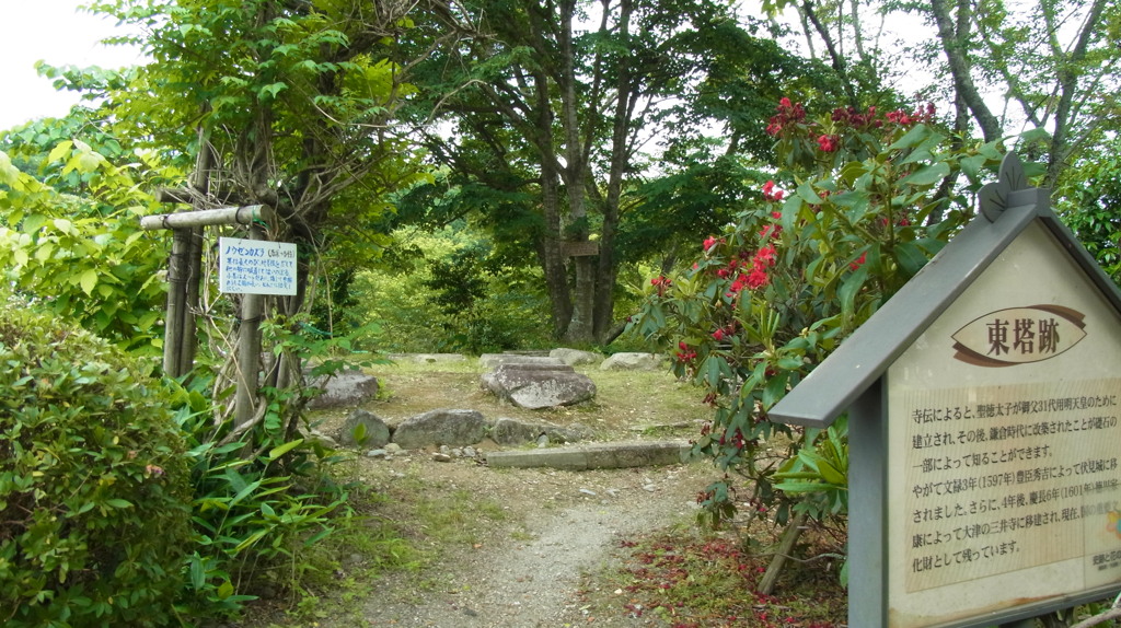 東塔跡と菩提樹。