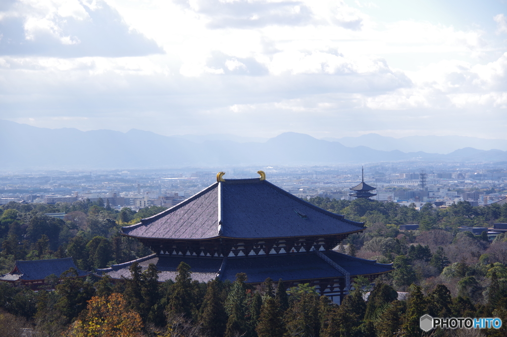 大仏殿と五重塔