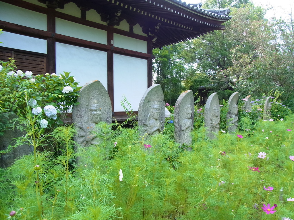 早咲きコスモスと石仏さん。