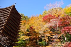 談山神社②