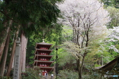 IMGP2505