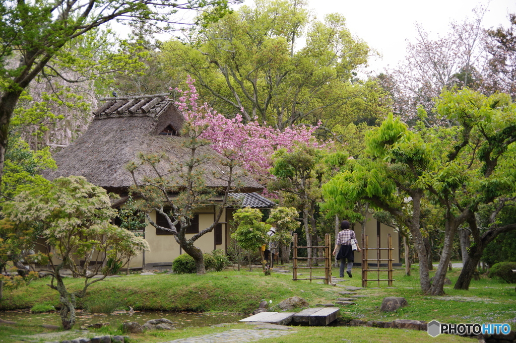 奈良国立博物館の日本庭園