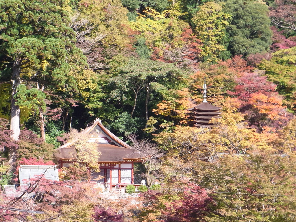 2011秋　談山神社遠景。