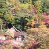 2011秋　談山神社遠景。